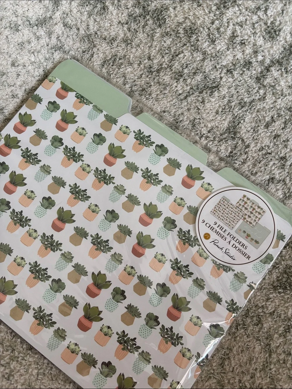 Punch Studio Designer Mint Green Succulent Cactus File Folders Set of 9 NWT